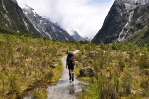 Milford Track books out in minutes as thousands queue