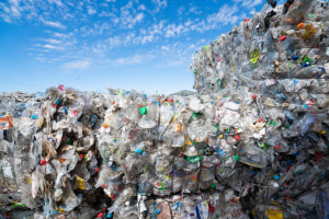 Packaging reform enters supply chain spotlight