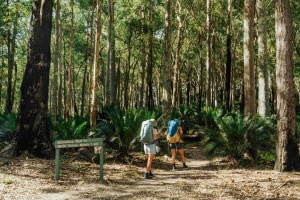 These day walks showcase many of NSW Great Walks
