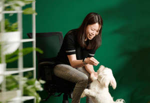 Real Pet Food Company modernises wiring with Rockwell tech
