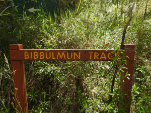 Bibbulmun Track being considered for heritage listing