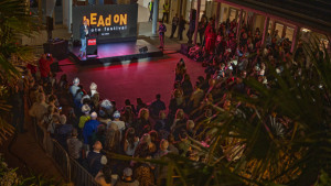 Winners of the 2025 Head On Photo Awards announced