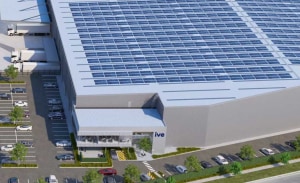 IVE holds margins as investment continues