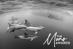 Mono Awards 2026 deadline extended to 21 June
