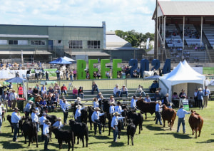 QLD govt invests $4.5m for Beef2027