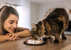 Mars Petcare appoints ANZ CCO, opens innovation program
