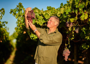 Fruitico, Fresh Express pay max penalty for alleged Horticulture Code breach