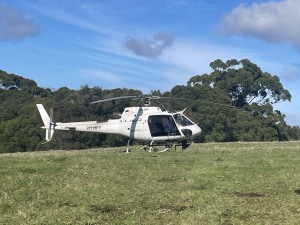 Bibbulmun Track restoration reaches milestone