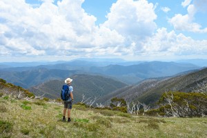 High Country towns make finalists in Vic tourism awards