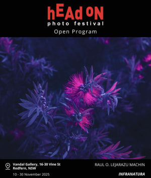 alt text for this image