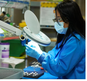 Thales exports piezoelectric ceramic to Massa