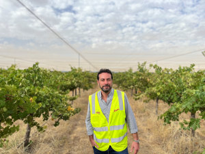 Treasury Wine’s $1m investment to protect luxury grapes