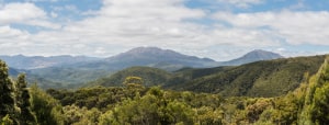 Tassie&rsquo;s 'Next Iconic Walk' clears federal environmental hurdle