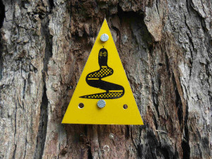 Bibbulmun Track on the big screen