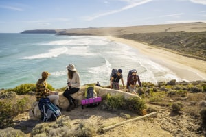 SA's Wild South Coast Way reopens are fire damage