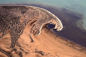 APS Behind the lens: From up above