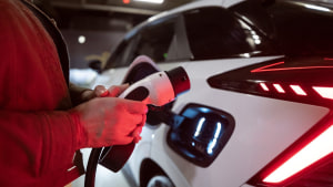 Affordable EVs dominate RACV car search rankings