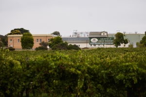 TWE sells Seppelt to Stonier 