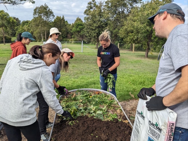 Dentsu Earth Day