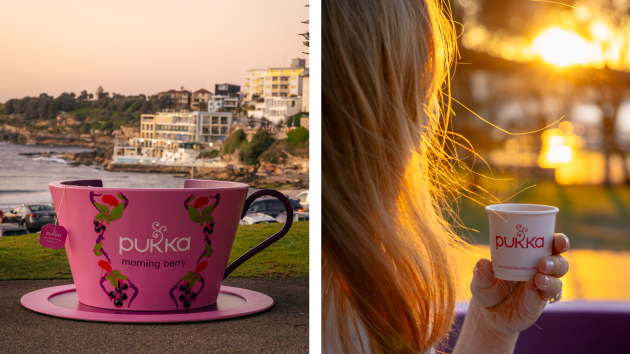 pukka_teacups_hero8.png