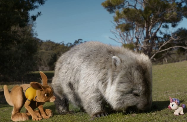 ruby and louie - Come and Say G'day - Maria Island, Tasmania.jpg