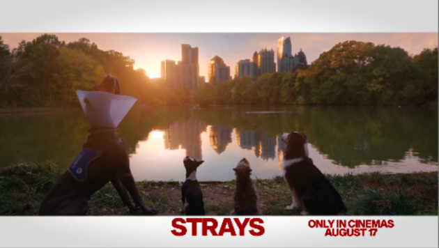 Strays via Ad Standards.