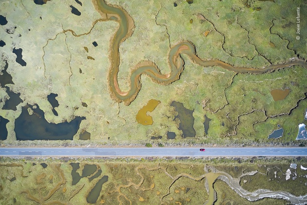 Road to ruin by Javier Lafuente, Spain, Winner, Wetlands - The Bigger Picture. Javier Lafuente (Spain) shows the stark, straight line of a road slicing through the curves of the wetland landscape. By manoeuvring his drone and inclining the camera, Javier dealt with the challenges of sunlight reflected by the water and ever-changing light conditions. He captured the pools as flat colours, varying according to the vegetation and mineral content. Dividing the wetland in two, this road was constructed in the 1980s to provide access to a beach. The tidal wetland is home to more than a hundred species of birds, with ospreys and bee-eaters among many migratory visitors. DJI Mavic 2 Pro + Hasselblad L1D-20c + 10.3mm f2.8 lens 1/500 sec at f2.8 (+0.3 e/v) ISO 100.