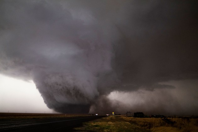 Image: Krystle Wright