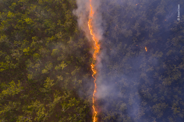 © Robert Irwin - 'Bushfire'