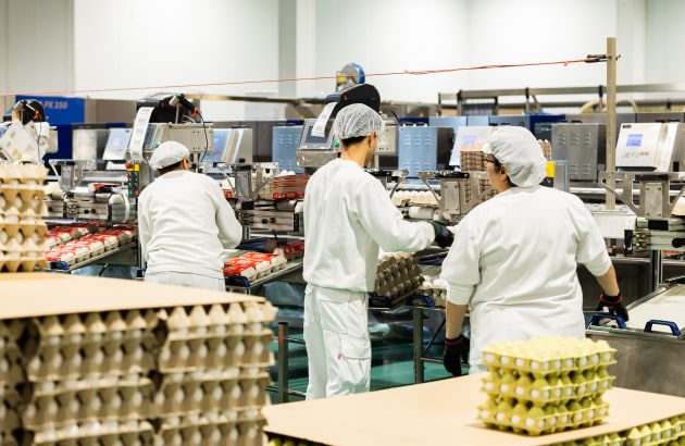 Australian egg producers finally have a high-performance alternative that delivers better efficiency, lower costs, and superior reliability.