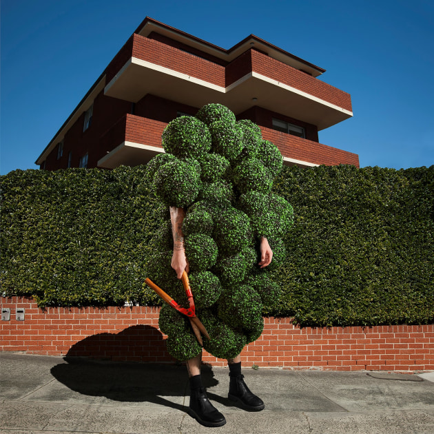 © Gerwyn Davies. Hedge, 2017. Archival inkjet print.