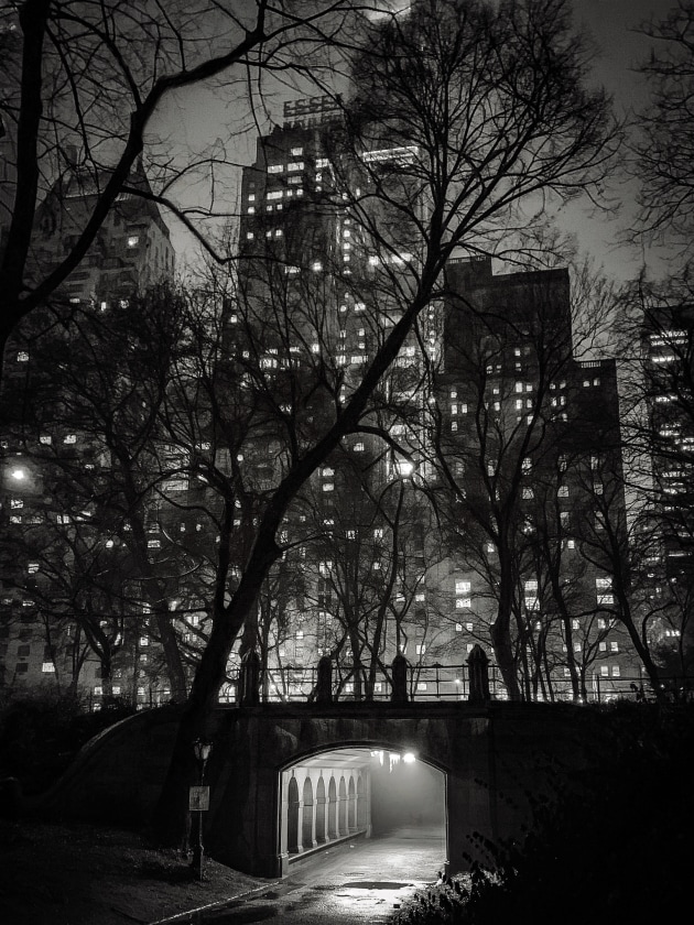 Carol Addassi, United States, Photographer of the Year, First Place. Passage. Central Park in Manhattan, New York City. Shot on iPhone XS.