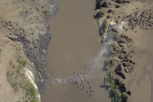 Highly commended, Great immigration birds eye view by Thomas Vijayen