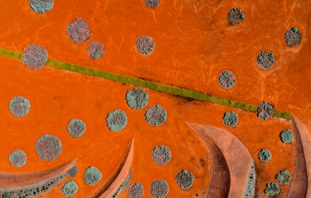 Highly commended, Red sand by Peter Virag