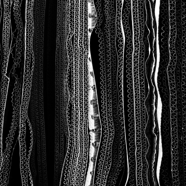 1st Place – Abstract: Corrugations by Glenn Homann, Australia
“I was looking to take some photos in a rather cluttered, messy industrial space. As I became more frustrated at the lack of interesting images, my eye honed in on smaller details. A simple and striking black and white image of cardboard scraps resulted.”
Location: Brisbane, Australia. Shot on iPhone X
