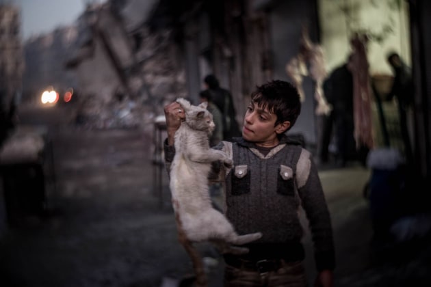© Christian Werner/Zeitenspiegel. Second place. From the series, "Rubble and Delusion: A Journey Through Assad’s Syria". Syria, January 2017 - A boy has caught a cat in East Aleppo.