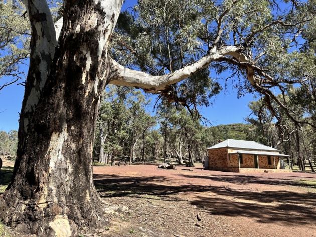 Hills Homestead within Ikara.