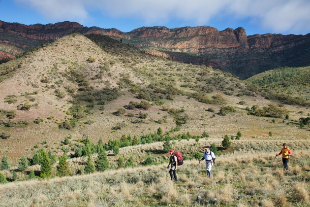 The beauty of the Outback on the Arkaba Walk. Richard Field