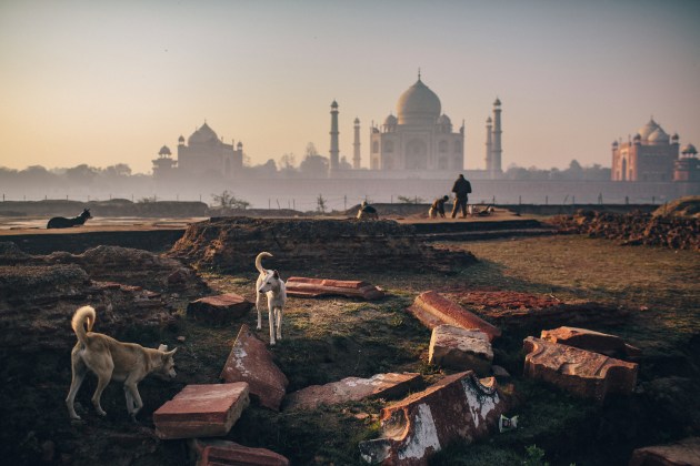 © Joshua Cogan. Shadow of the Taj. Courtesy of Vital Impacts.