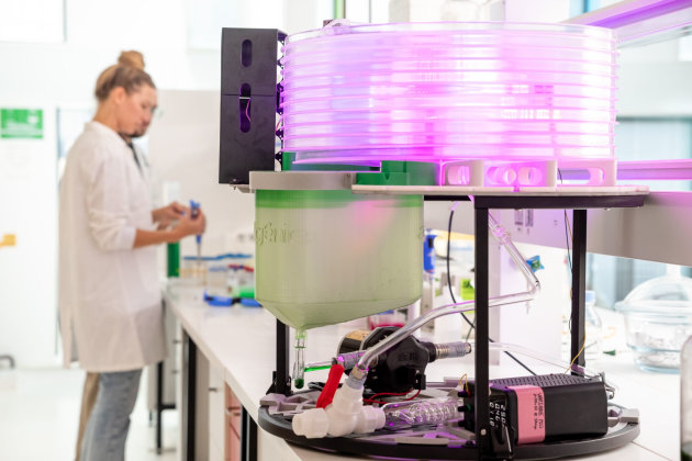 The federal government has released the latest round of Industry Growth Program (IGP) recipients, including A-Culture Holding, Algenie, and VeraSys.
Source: Algenie