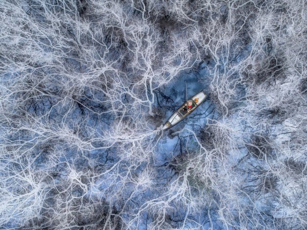 © Trung Pham Huy. Fishing in Mangrove Forest. A fisherman starts his fishing day in the mangrove forest in the lagoon of Tam Giang in the Hue province. Mangroves lose all their leaves and turn white during the winter season.