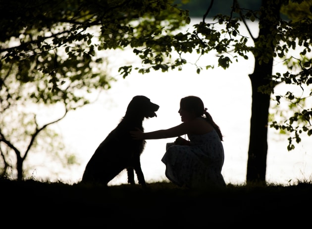 Man’s Best Friend 1st Place Winner Cat Race, UK