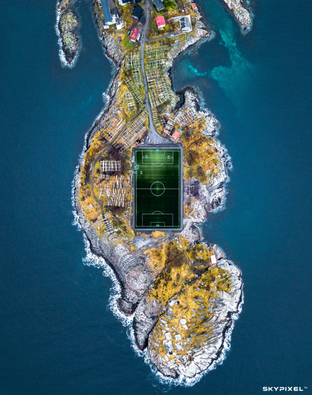 Image: 群岛#足球的生命力 圆猪笔
