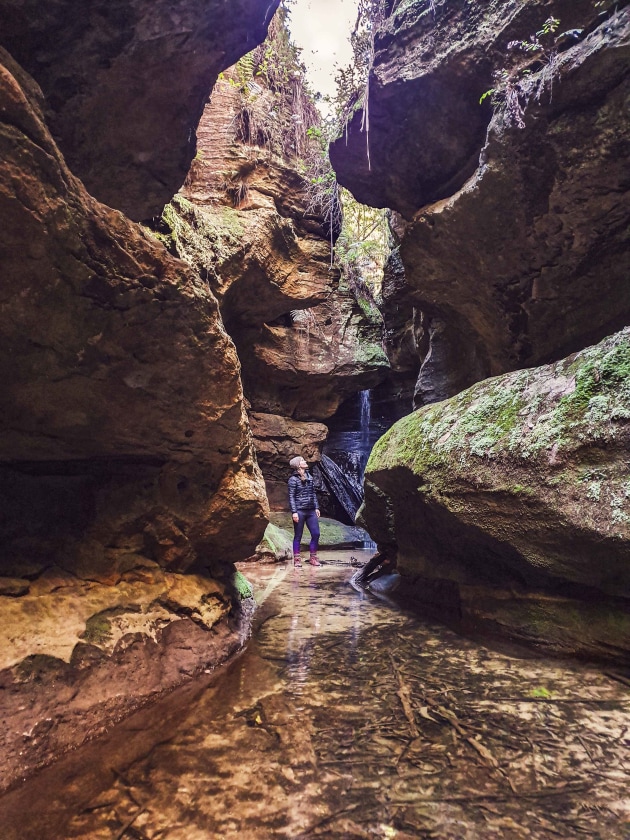 Images retain plenty of shadow detail, even in challenging lighting conditions like this canyon in the Blue Mountains NP.