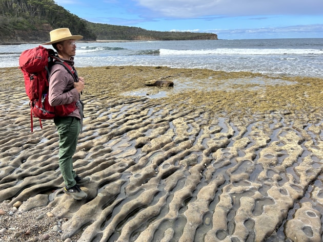 Erosion turns the rocky platforms into art.