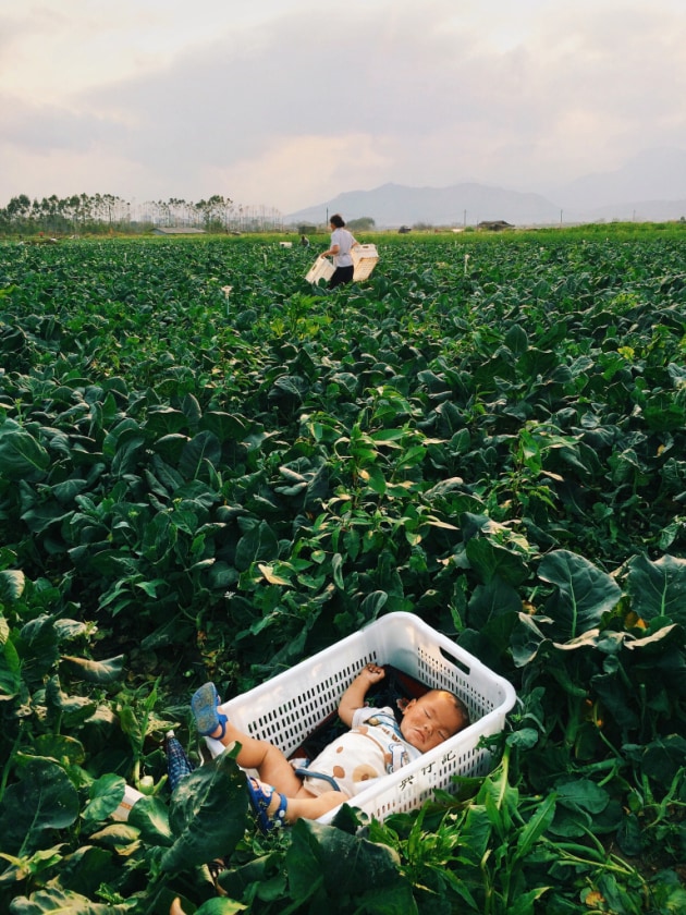 2nd Place – Lifestyle: Dreams in the basket by 泳桥 黄
“On the way back after work I saw a little baby in a basket. I really wanted to stop to adjust the baby’s sleeping position to make her more comfortable, but I couldn’t bear to disturb her dreams.”
Location: HeYuan, Guangdong, China. Shot on iPhone 5S