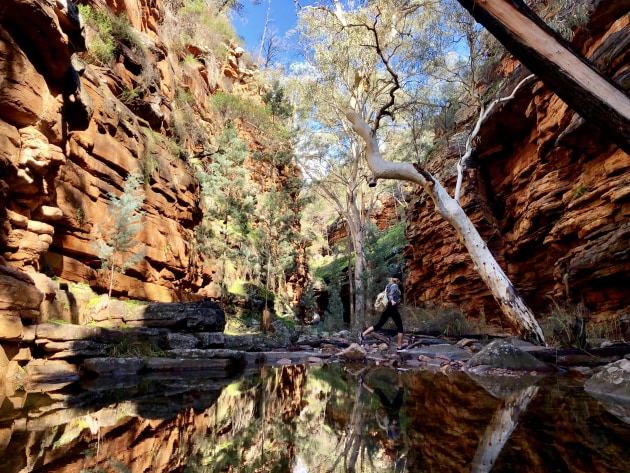 Alligator Gorge. Angus Mountjoy