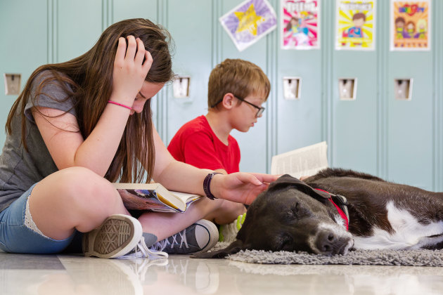 Assistance Dog Category 2nd Place Winner, Tracy Allard, United States