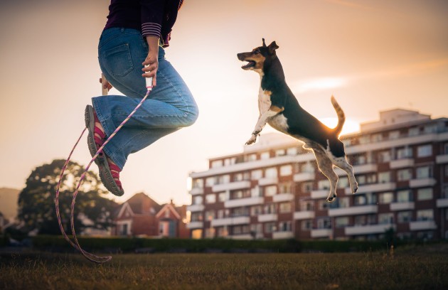 Dogs at Play Category 2nd Place Winner, Zoltan Kecskes, UK