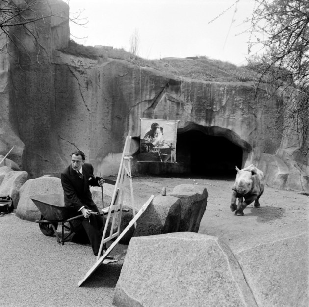 30 April 1955 – Paris, France – Salvador Dali painting a rhinoceros with Vermeer’s famous painting “The Lacemaker” at the Vincennes Zoo. © AFP